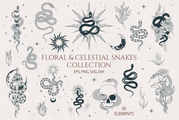 Discover the Enchanting Hand Drawn Floral Celestial Snake Set
