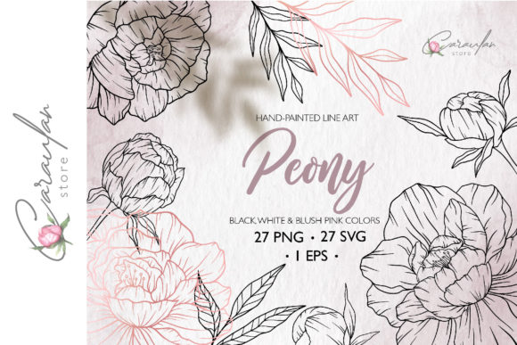 Enhance Your Designs with Peonies Line Drawing Art
