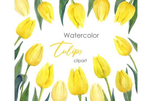 Exploring the Versatility of Watercolor Floral Clipart: A Focus on Tulip Designs