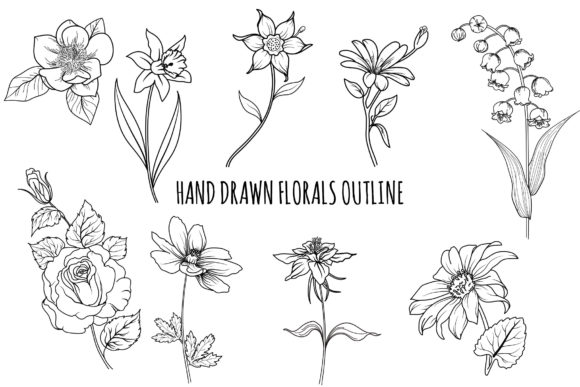 Floral Outline Hand Drawn Bundle: A Detailed and Versatile Illustration Set