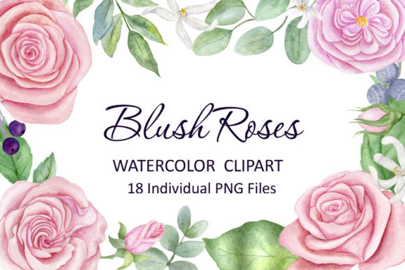 Watercolor Floral Clipart: Pink Roses
